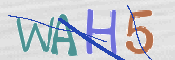 この文字を入力してください