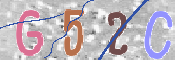この文字を入力してください