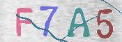 この文字を入力してください