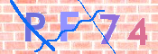この文字を入力してください