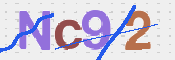この文字を入力してください