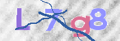 この文字を入力してください