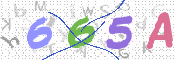 この文字を入力してください