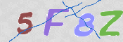 この文字を入力してください