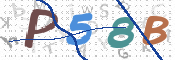 この文字を入力してください