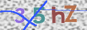 この文字を入力してください