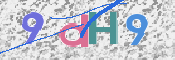 この文字を入力してください