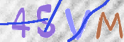この文字を入力してください