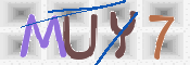 この文字を入力してください