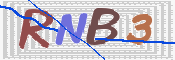 この文字を入力してください