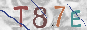 この文字を入力してください