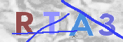 この文字を入力してください
