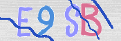 この文字を入力してください