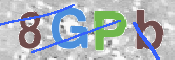 この文字を入力してください