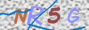 この文字を入力してください