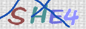 この文字を入力してください