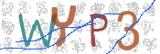 この文字を入力してください