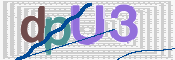 この文字を入力してください