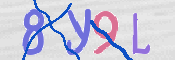 この文字を入力してください