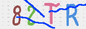 この文字を入力してください