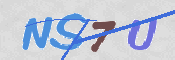 この文字を入力してください