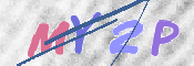 この文字を入力してください