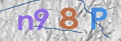 この文字を入力してください