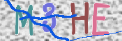 この文字を入力してください