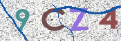 この文字を入力してください