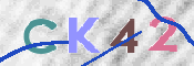 この文字を入力してください