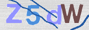 この文字を入力してください
