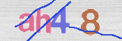 この文字を入力してください