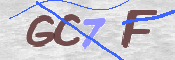 この文字を入力してください