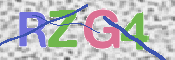 この文字を入力してください