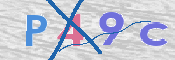 この文字を入力してください