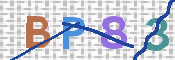 この文字を入力してください