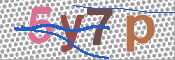 この文字を入力してください