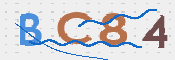 この文字を入力してください