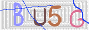 この文字を入力してください