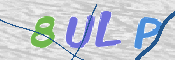 この文字を入力してください