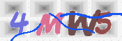 この文字を入力してください