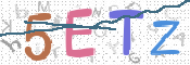 この文字を入力してください