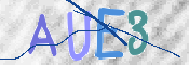 この文字を入力してください