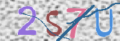 この文字を入力してください