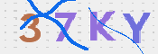 この文字を入力してください