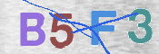 この文字を入力してください
