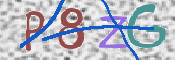 この文字を入力してください