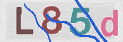 この文字を入力してください