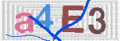 この文字を入力してください