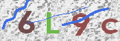 この文字を入力してください